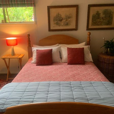 Garden Studio Apartment Хейвлок Норт Екстериор снимка